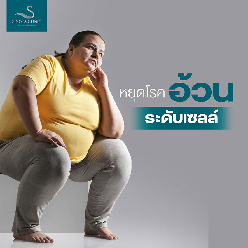 หยุดโรคอ้วนระดับเซลล์